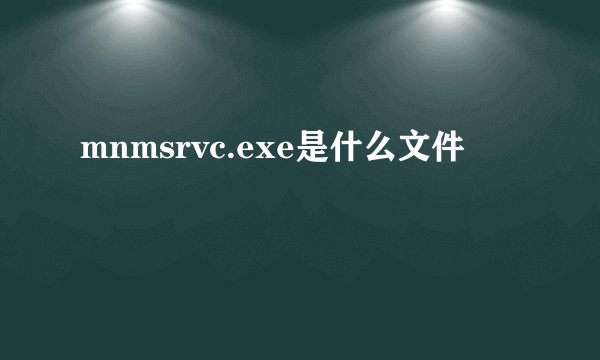 mnmsrvc.exe是什么文件