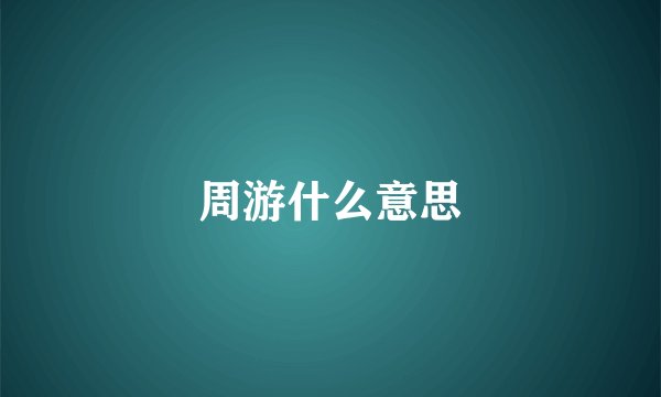 周游什么意思