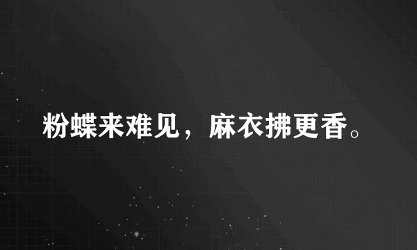 粉蝶来难见,麻衣拂更香。