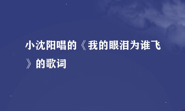 小沈阳唱的《我的眼泪为谁飞》的歌词
