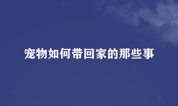 宠物如何带回家的那些事