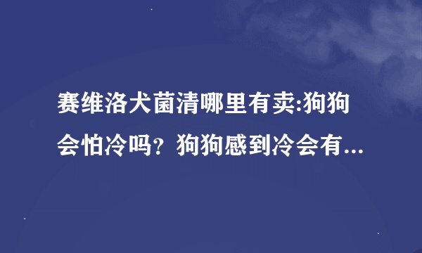 赛维洛犬菌清哪里有卖:狗狗会怕冷吗？狗狗感到冷会有什么表现吗？