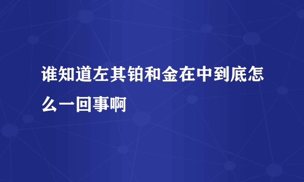 谁知道左其铂和金在中到底怎么一回事啊