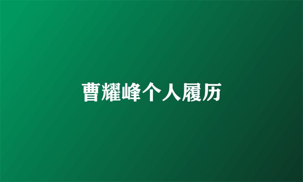 曹耀峰个人履历