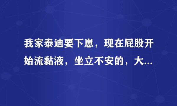 我家泰迪要下崽，现在屁股开始流黏液，坐立不安的，大约多久会生啊？我第一次给狗狗接生，什么都不懂，麻
