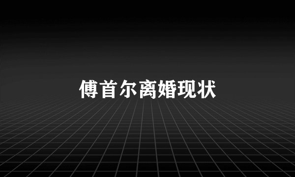傅首尔离婚现状