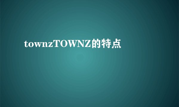 townzTOWNZ的特点