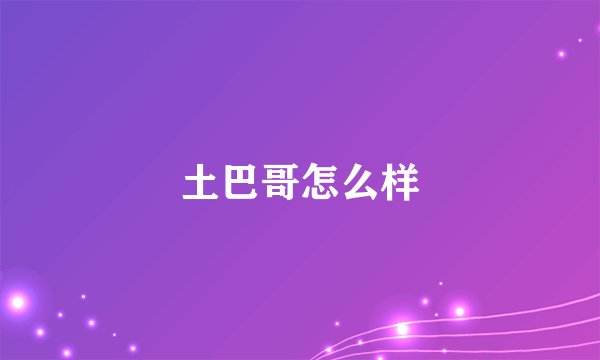 土巴哥怎么样