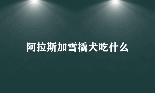 阿拉斯加雪橇犬吃什么