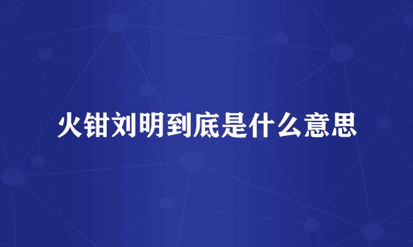 火钳刘明到底是什么意思