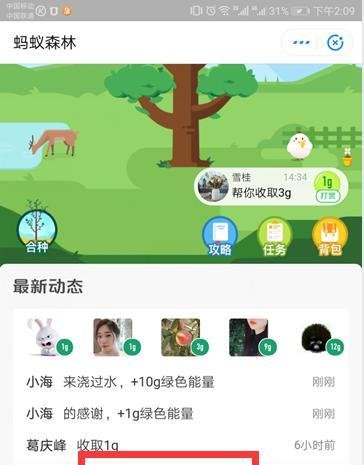 支付宝里蚂蚁森林动态朋友来浇水如何查看？