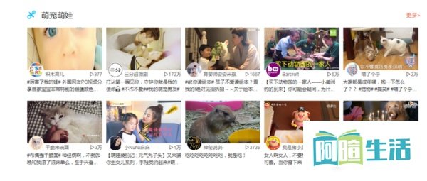 最近新出的IP猪小屁，是怎么火起来的？