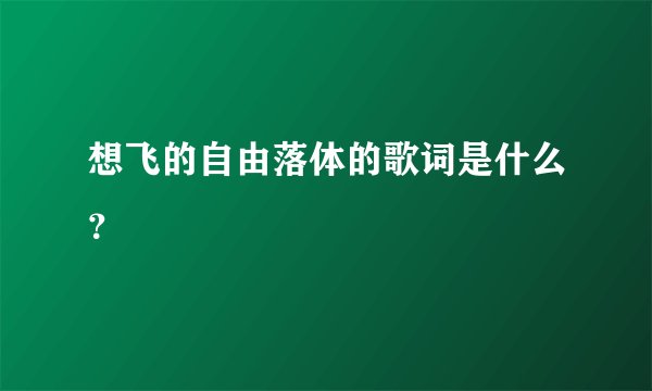 想飞的自由落体的歌词是什么？