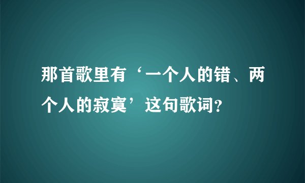 那首歌里有‘一个人的错、两个人的寂寞’这句歌词？