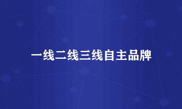 一线二线三线自主品牌