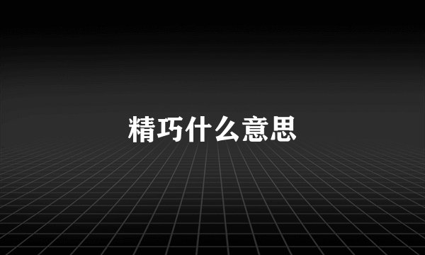 精巧什么意思