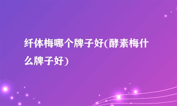 纤体梅哪个牌子好(酵素梅什么牌子好)