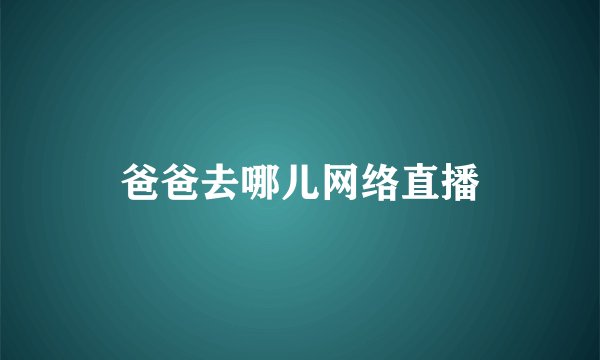 爸爸去哪儿网络直播