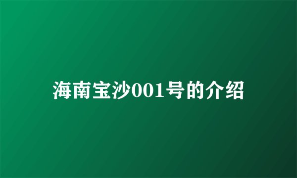 海南宝沙001号的介绍