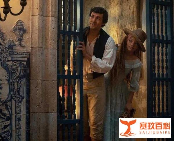 哈卷拒演《小美人鱼》原因曝光，网友唱衰：错失最佳人选