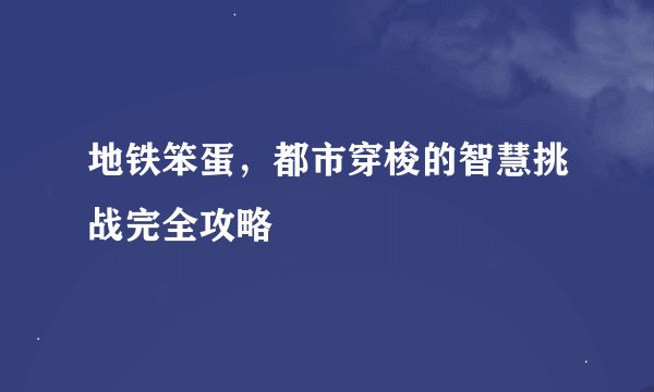 地铁笨蛋，都市穿梭的智慧挑战完全攻略