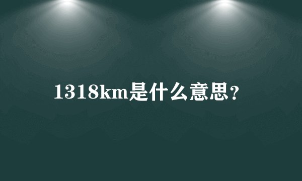 1318km是什么意思？