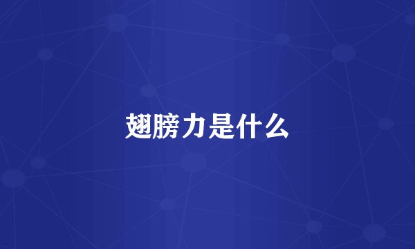 翅膀力是什么