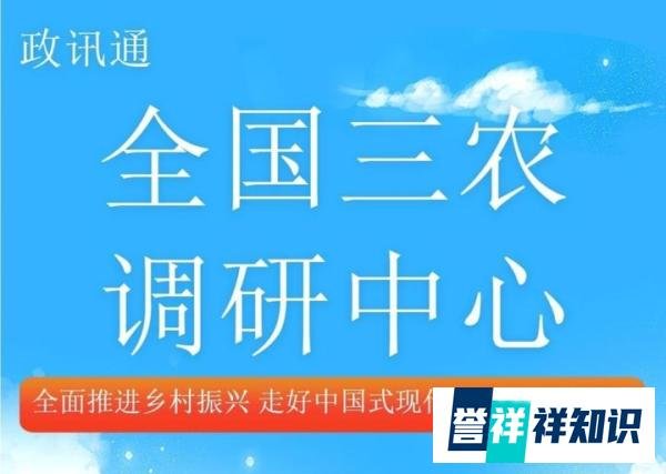 中央发话,严查这四类村干部