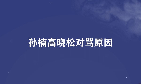 孙楠高晓松对骂原因