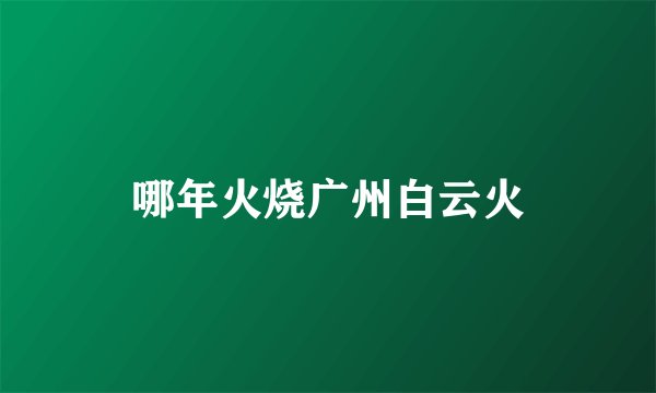 哪年火烧广州白云火