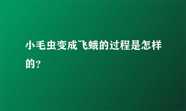 小毛虫变成飞蛾的过程是怎样的?