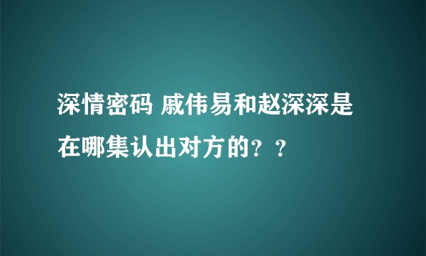深情密码 戚伟易和赵深深是在哪集认出对方的？？