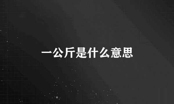 一公斤是什么意思