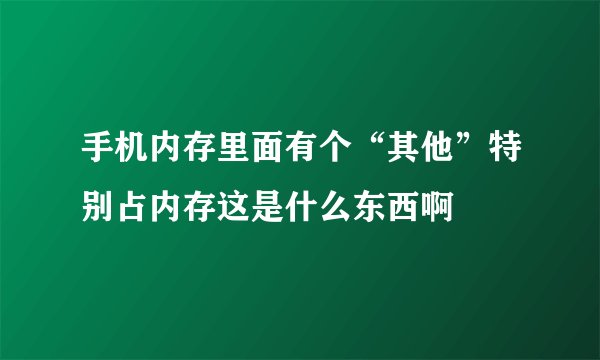 手机内存里面有个“其他”特别占内存这是什么东西啊