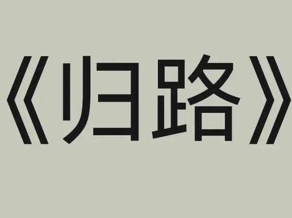 归路路晨第几集昏迷