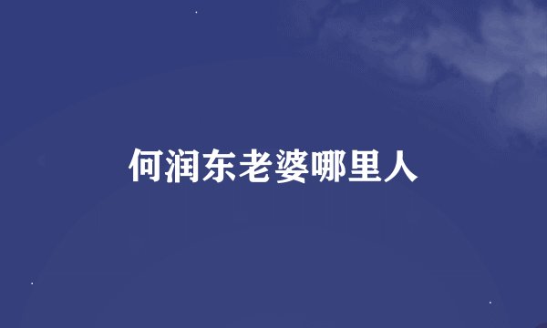 何润东老婆哪里人