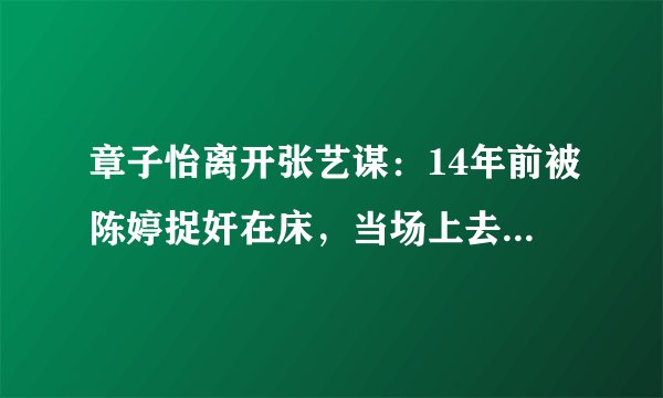 章子怡离开张艺谋：14年前被陈婷捉奸在床，当场上去就是2耳光！