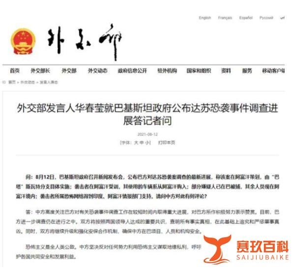 巴基斯坦公布达苏恐袭事件调查进展 这是咋情况?