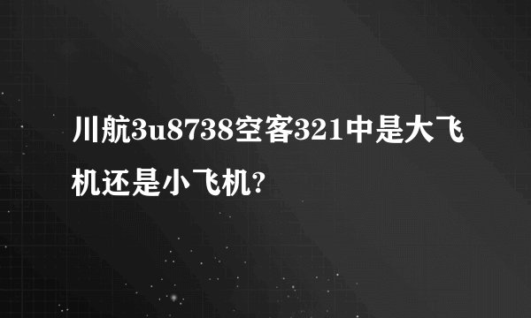川航3u8738空客321中是大飞机还是小飞机?