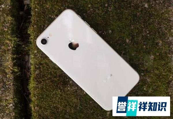 iPhone9发布的主要原因,这两类人都需要,399美元的iPhone9真香