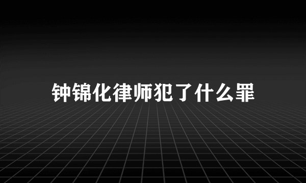 钟锦化律师犯了什么罪