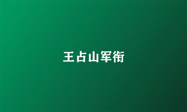 王占山军衔