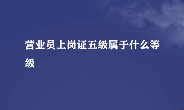 营业员上岗证五级属于什么等级