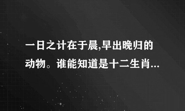 一日之计在于晨,早出晚归的动物。谁能知道是十二生肖的什么动物？