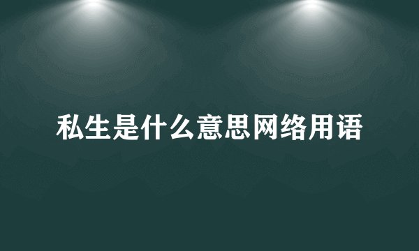 私生是什么意思网络用语