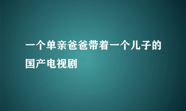 一个单亲爸爸带着一个儿子的国产电视剧