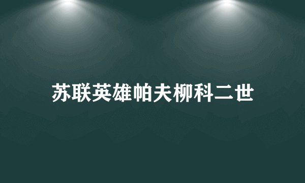 苏联英雄帕夫柳科二世