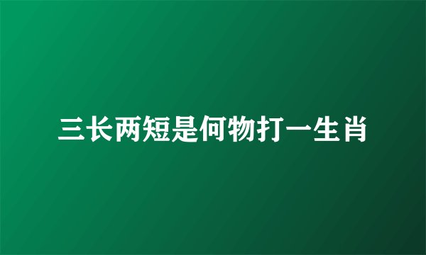 三长两短是何物打一生肖