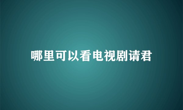 哪里可以看电视剧请君