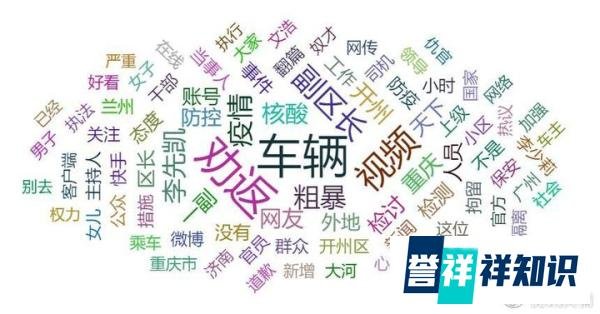 重庆一副区长暴力劝返外地车辆为何压了一个月后引爆舆论?